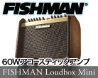 FISHMAN Loudbox Mini