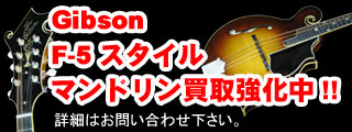Gibson F-5�@���拭����!!