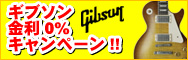Gibson ����0%�L�����y�[��!!