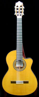 �z�Z�E���~���X 4CWE Custom w/PU