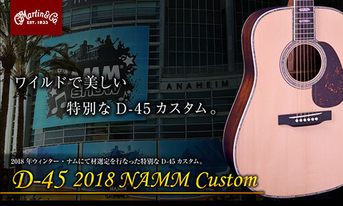 C.F.Martin Guitar D-45 2018 NAMM Custom