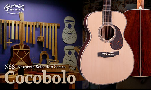 C.F.Martin Guitar NSS Cocobolo