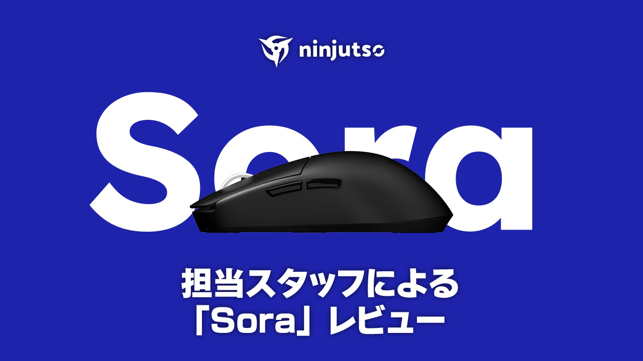 担当スタッフによる 「Ninjutso Sora」 レビュー