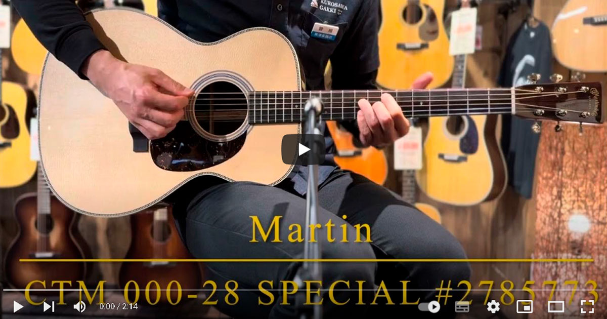 Martin SC-12E Special ＃2766998