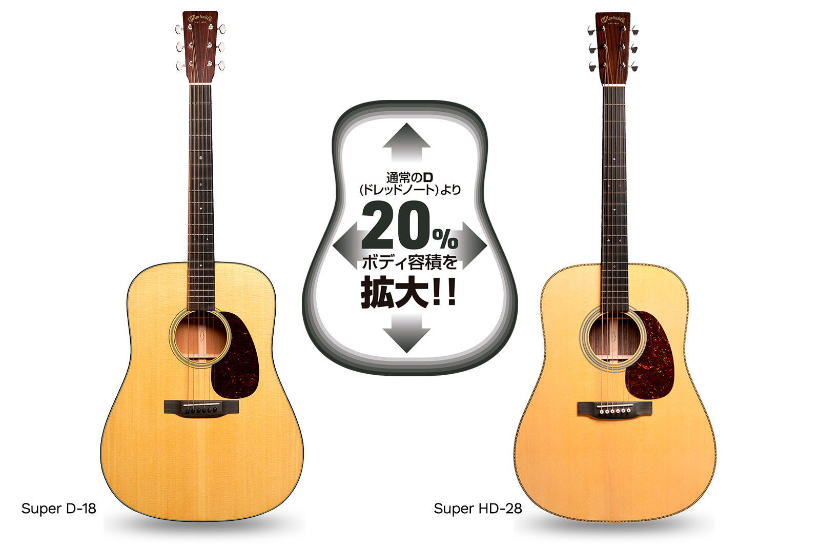 通常のドレッドノートよりも容積が20％増えた Super D-18 と Super HD