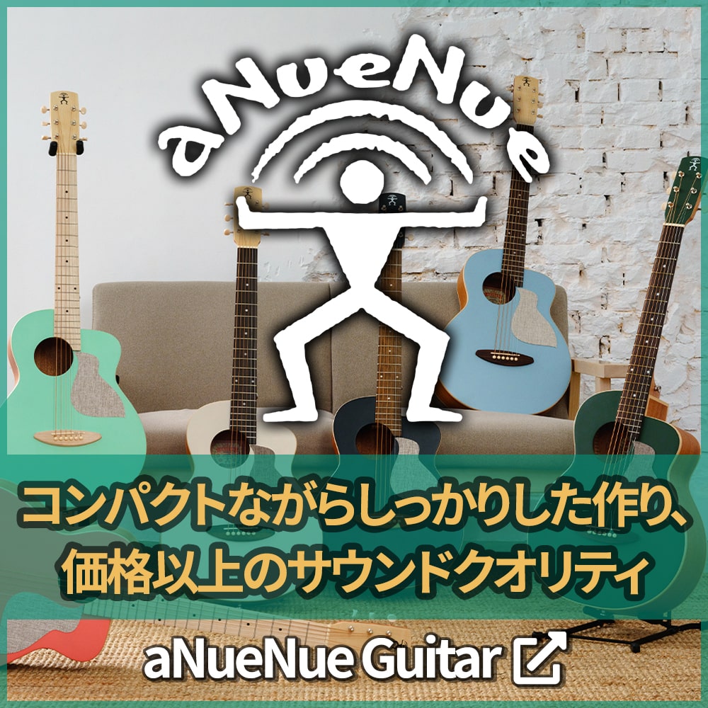 aNueNue Guitar