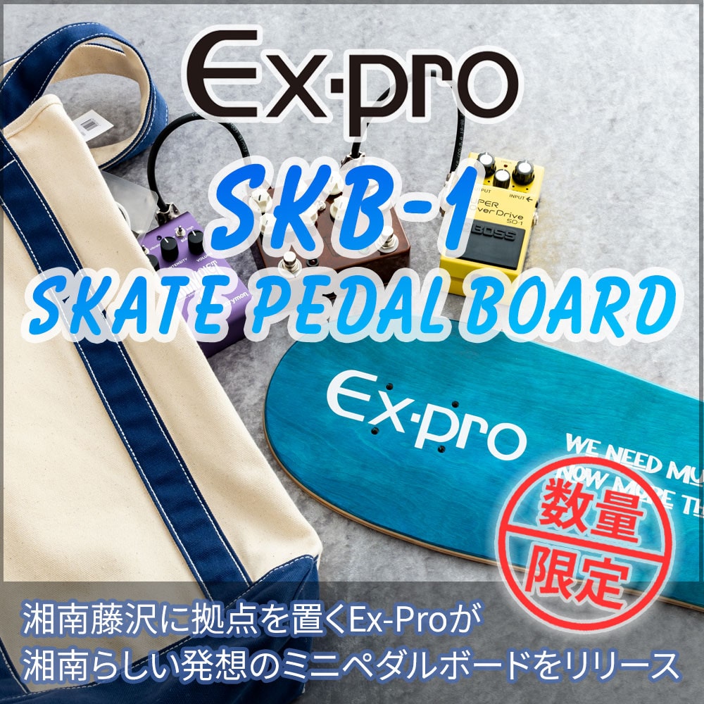 Ex-pro SKB-1 SKATE PEDAL BOARD【数量限定】