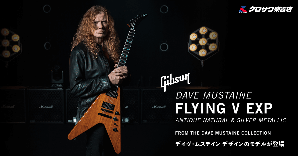 Gibson DAVE MUSTAINE
FLYINGV EXP