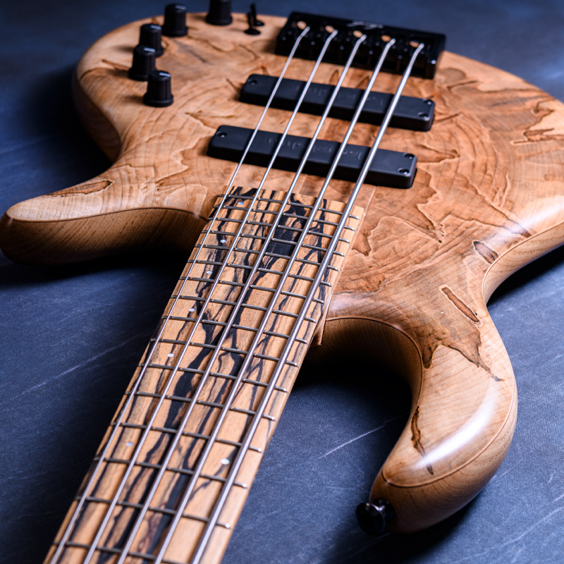Elrick Bass Guitars Gold Series e-volution 5 Ambrosia Maple Top, Sassafras Back