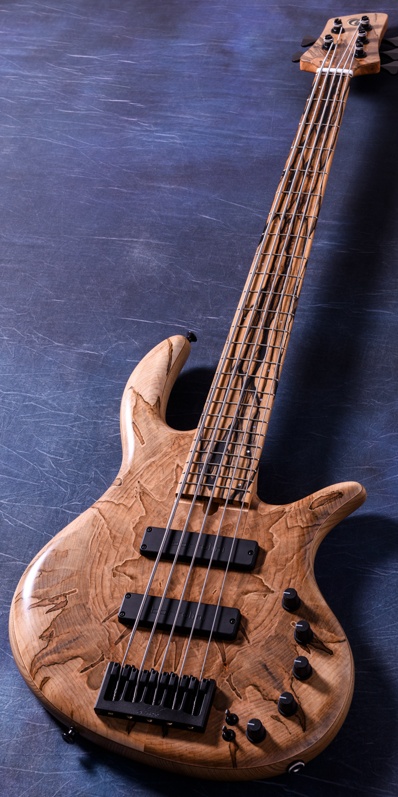 Elrick Bass Guitars Gold Series e-volution 5 Ambrosia Maple Top, Sassafras Back