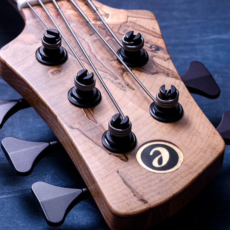 Elrick Bass Guitars Gold Series e-volution 5 Ambrosia Maple Top, Sassafras Back