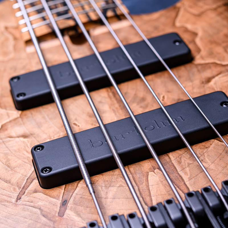 Elrick Bass Guitars Gold Series e-volution 5 Ambrosia Maple Top, Sassafras Back