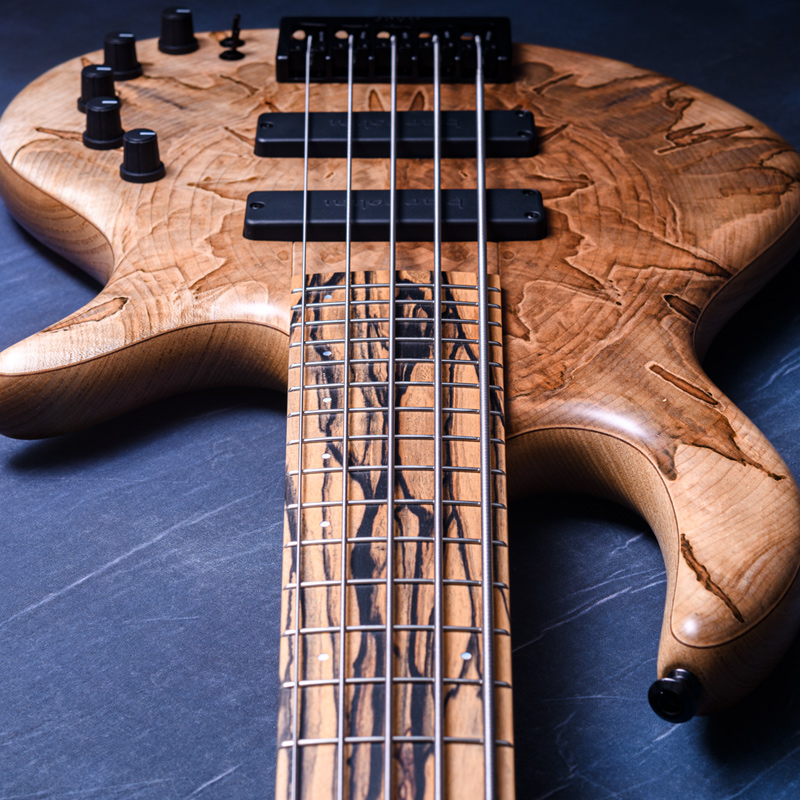 Elrick Bass Guitars Gold Series e-volution 5 Ambrosia Maple Top, Sassafras Back