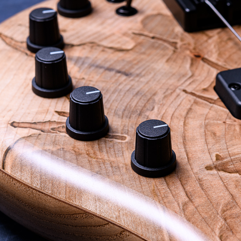 Elrick Bass Guitars Gold Series e-volution 5 Ambrosia Maple Top, Sassafras Back