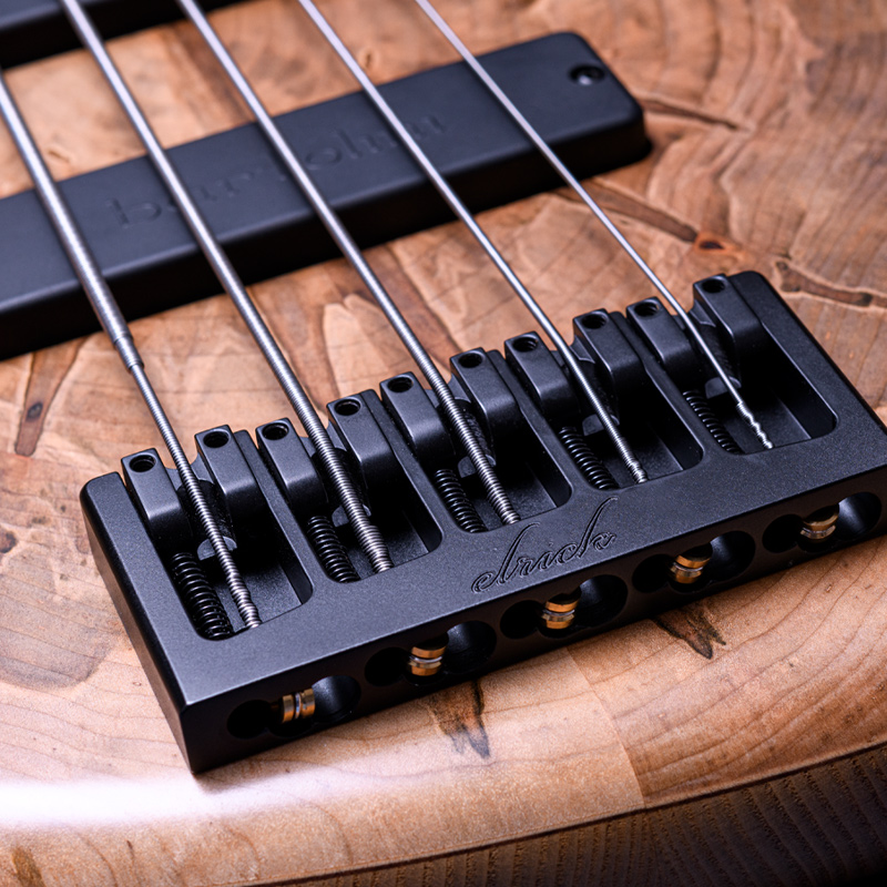 Elrick Bass Guitars Gold Series e-volution 5 Ambrosia Maple Top, Sassafras Back