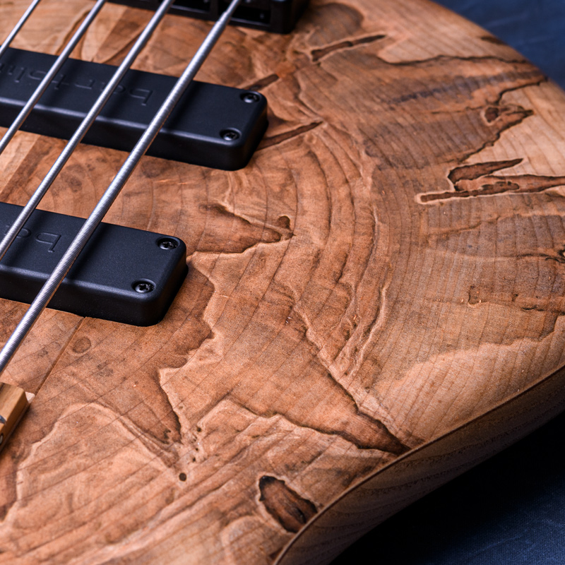 Elrick Bass Guitars Gold Series e-volution 5 Ambrosia Maple Top, Sassafras Back