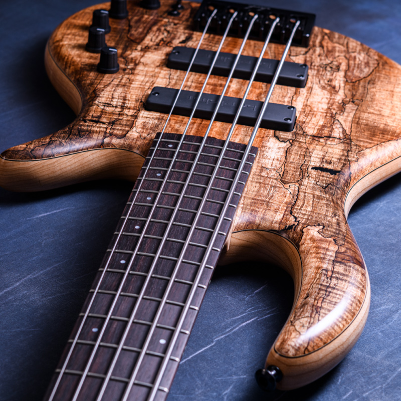 Elrick Bass Guitars Gold Series e-volution 5 Curly Black Line Spalted Maple Top