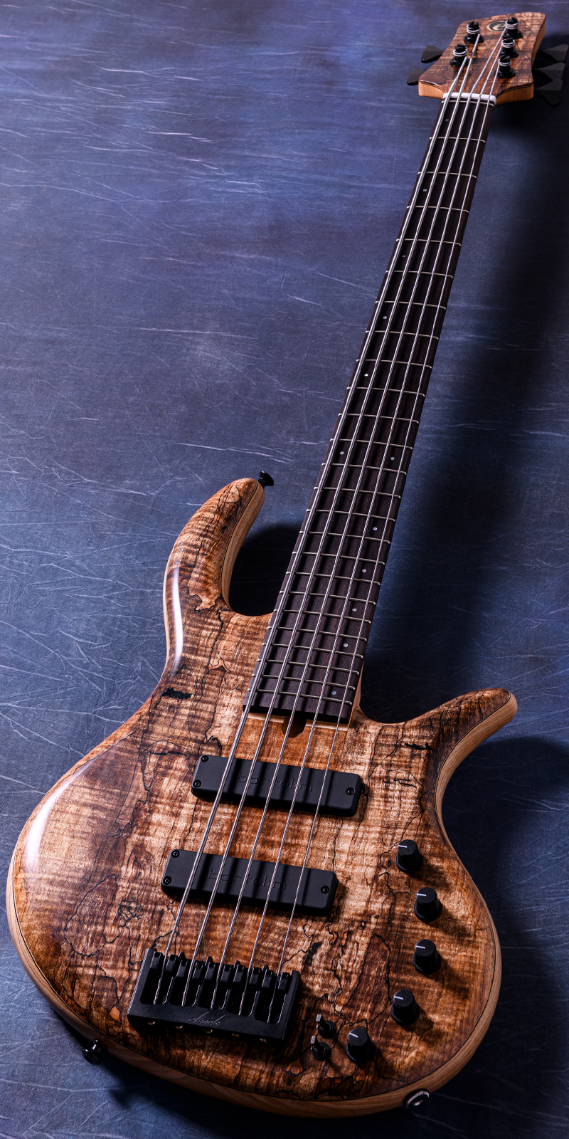 Elrick Bass Guitars Gold Series e-volution 5 Curly Black Line Spalted Maple Top