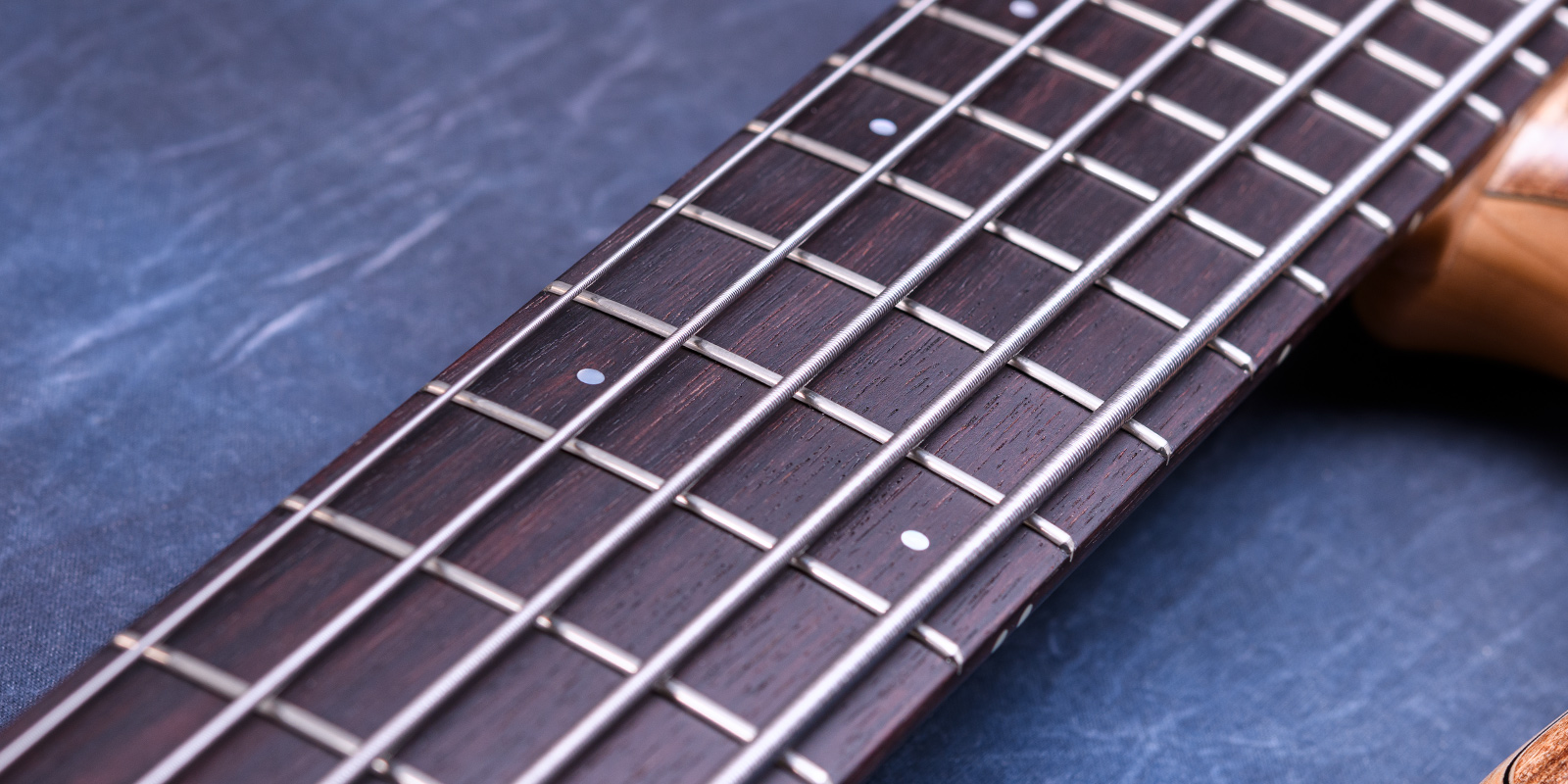 Elrick Bass Guitars Gold Series e-volution 5 Curly Black Line Spalted Maple Top