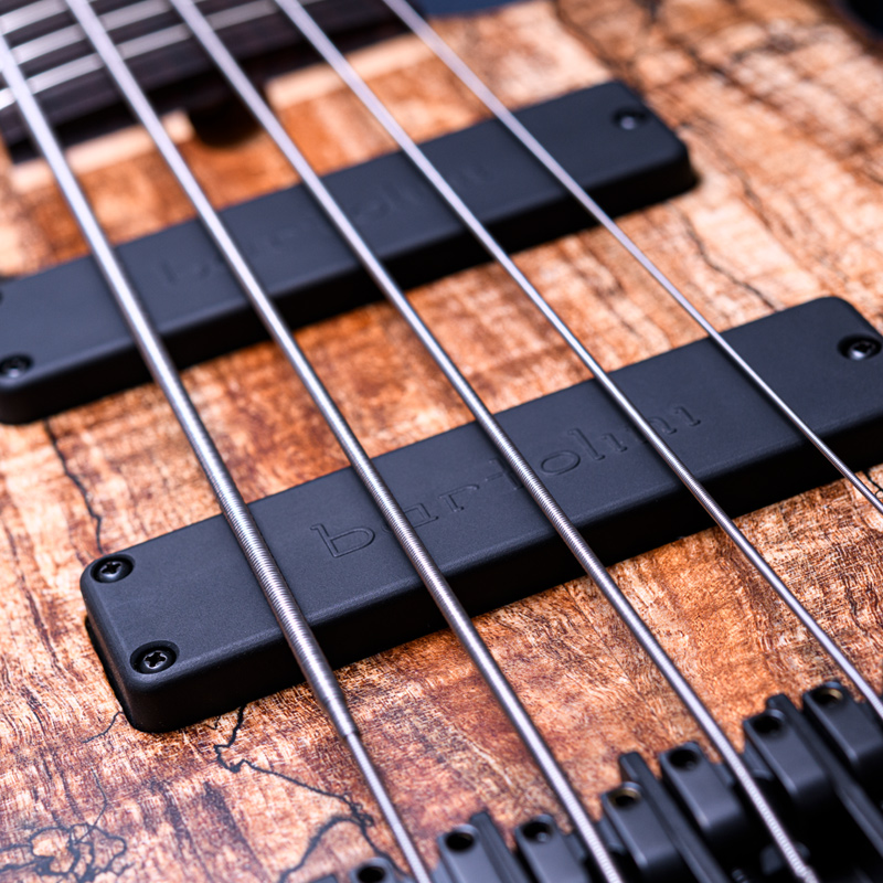 Elrick Bass Guitars Gold Series e-volution 5 Curly Black Line Spalted Maple Top