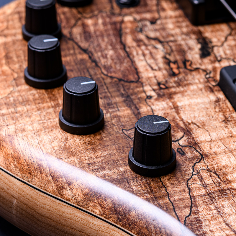 Elrick Bass Guitars Gold Series e-volution 5 Curly Black Line Spalted Maple Top