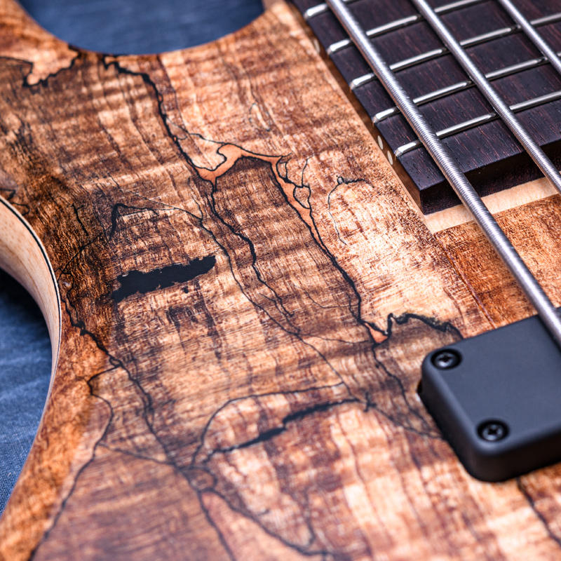 Elrick Bass Guitars Gold Series e-volution 5 Curly Black Line Spalted Maple Top