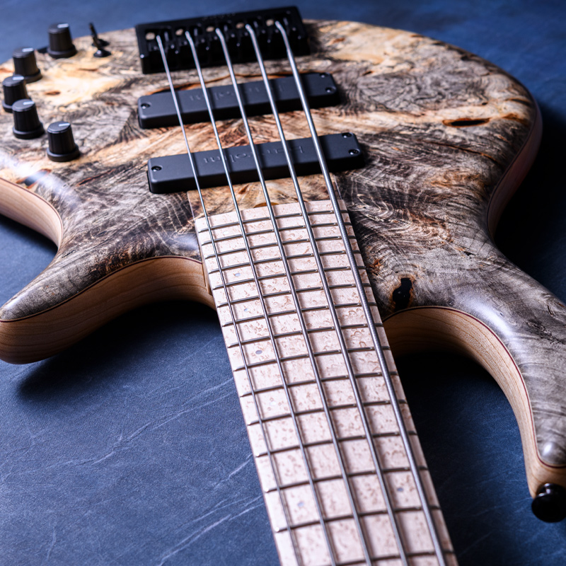 Elrick Bass Guitars Gold Series e-volution 5 Buckeye Top