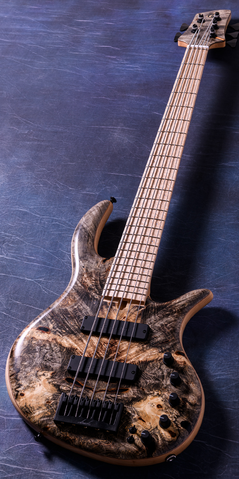 Elrick Bass Guitars Gold Series e-volution 5 Buckeye Top