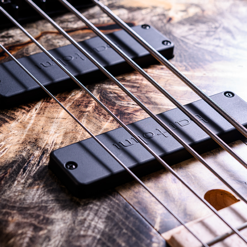 Elrick Bass Guitars Gold Series e-volution 5 Buckeye Top