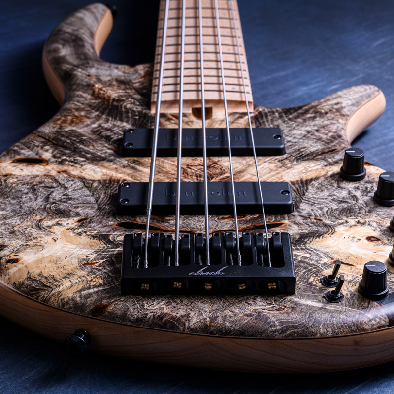 Elrick Bass Guitars Gold Series e-volution 5 Buckeye Top