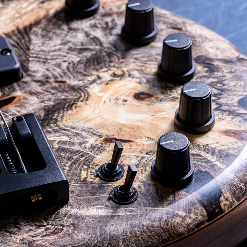 Elrick Bass Guitars Gold Series e-volution 5 Buckeye Top