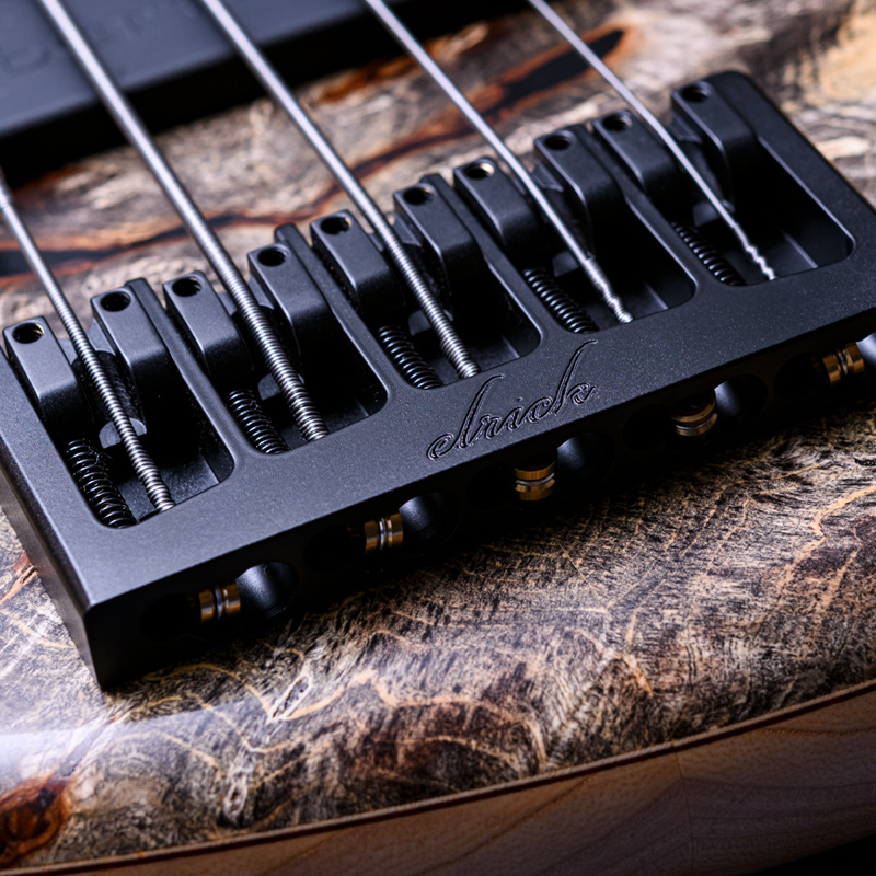 Elrick Bass Guitars Gold Series e-volution 5 Buckeye Top