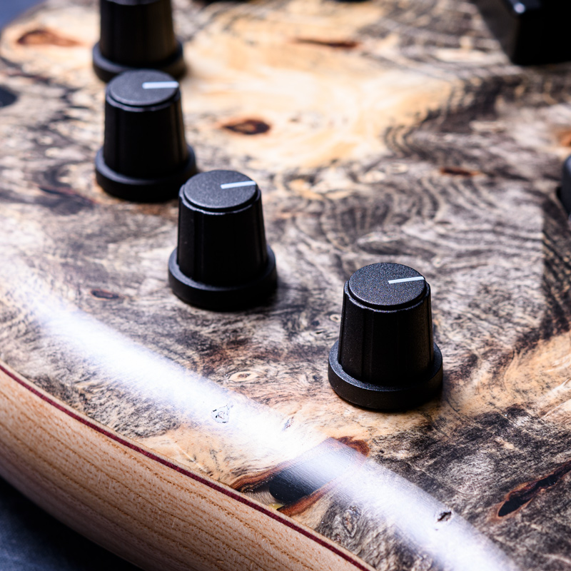 Elrick Bass Guitars Gold Series e-volution 5 Buckeye Top