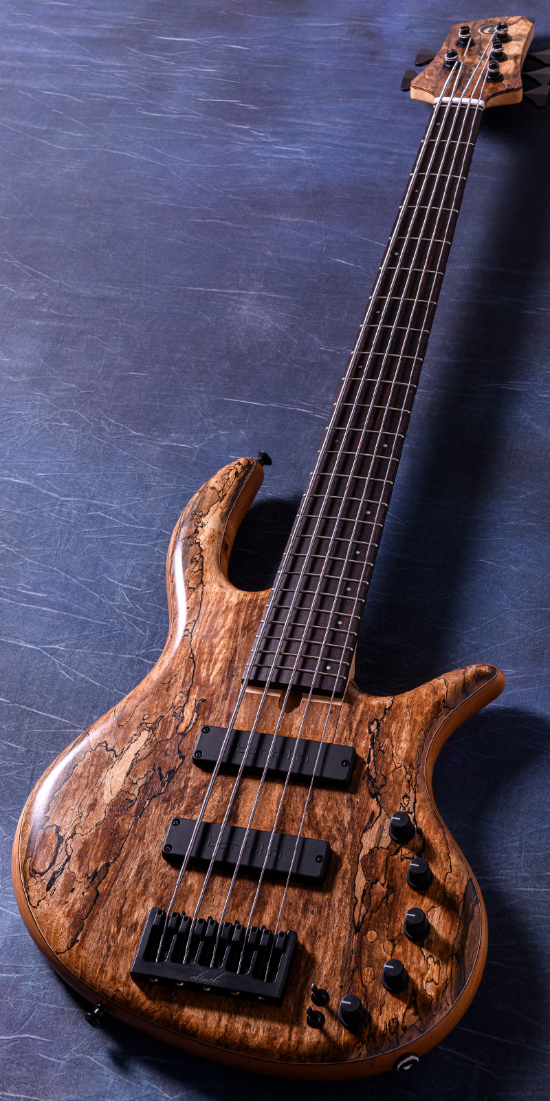 Elrick Bass Guitars Gold Series e-volution 5 Spalted English Walnut Top