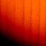3-Color Sunburst