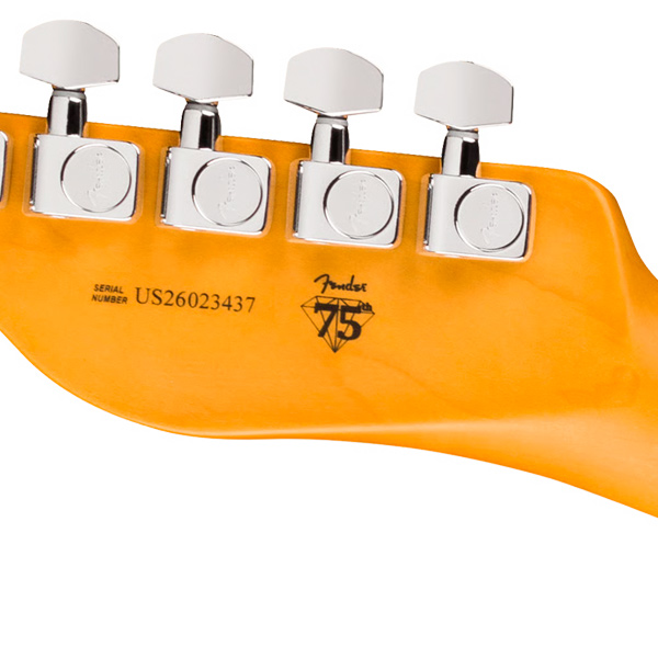 FENDER AMERICAN PROFESSIONAL HOTSHOT TELECASTER