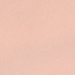 Transparent Shell Pink