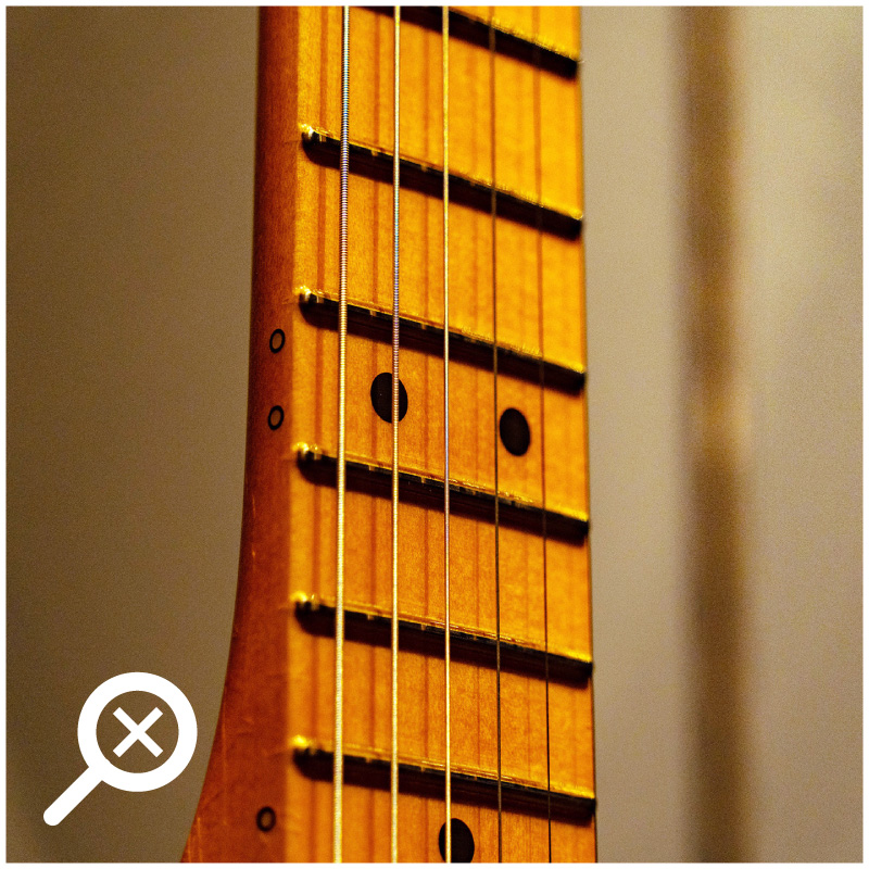 STAINLESS STEEL FRETS