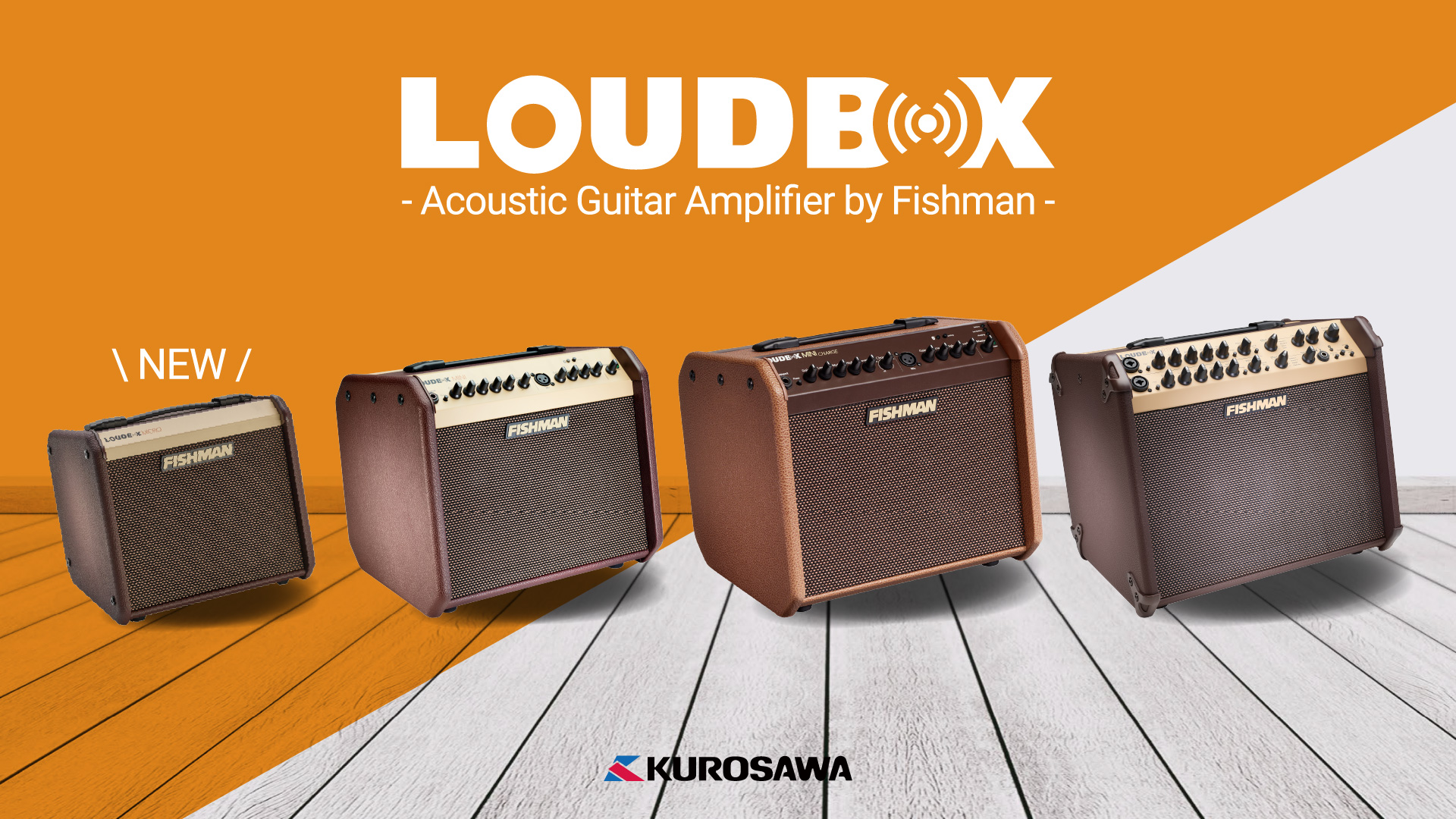 LOUDBOX - Acoustic Guitar Amplifier by Fishman -