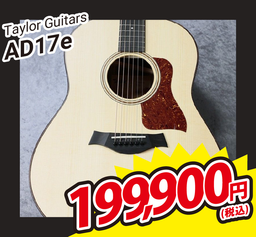 Taylor AD17e