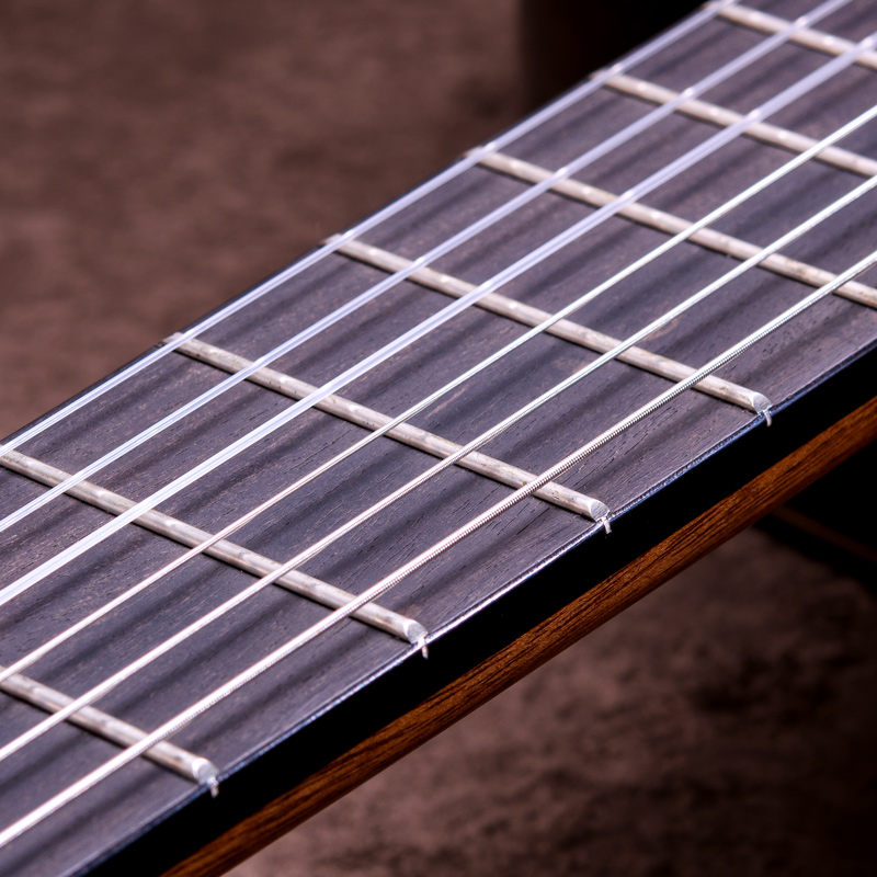 Antonio Sanchez Torres / Hauser Clasico