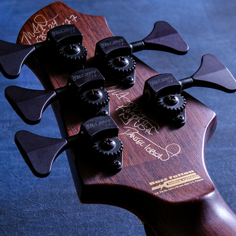 MTD 535-24 Black Limba 10 Top, Black Limba Back