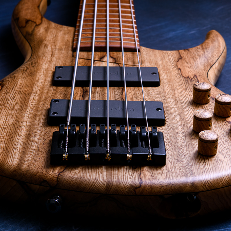 MTD 535-24 Black Limba 10 Top, Black Limba Back