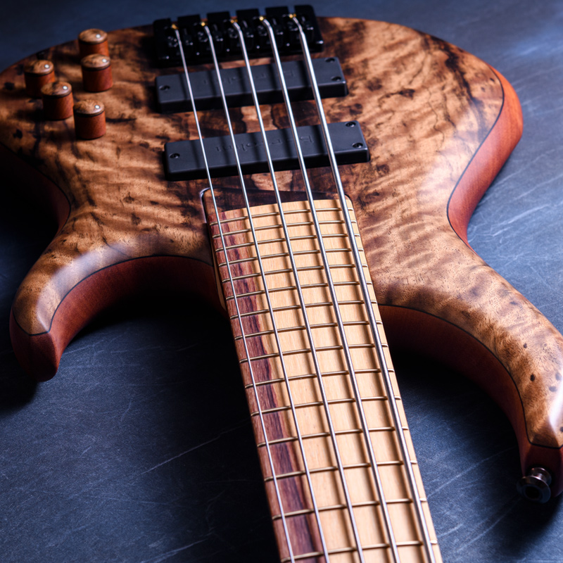 MTD 535-24 Macassar Ebony Top, Maple & Purpleheart Neck, Rose of the Mountain Fingerboard