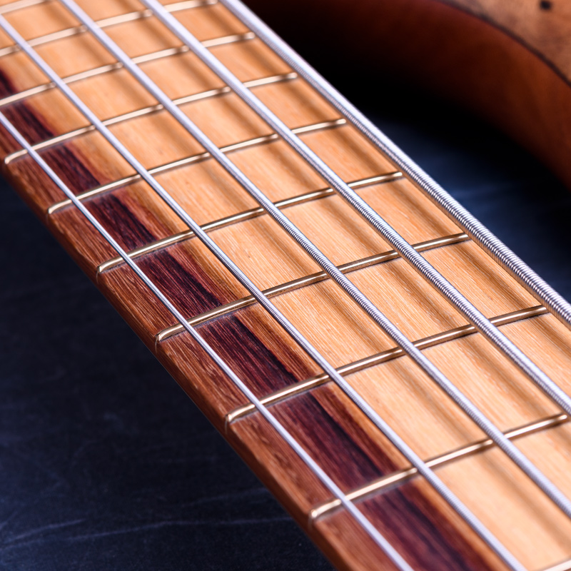 MTD 535-24 Macassar Ebony Top, Maple & Purpleheart Neck, Rose of the Mountain Fingerboard