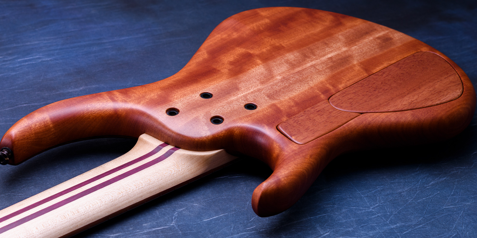 MTD 535-24 Macassar Ebony Top, Maple & Purpleheart Neck, Rose of the Mountain Fingerboard