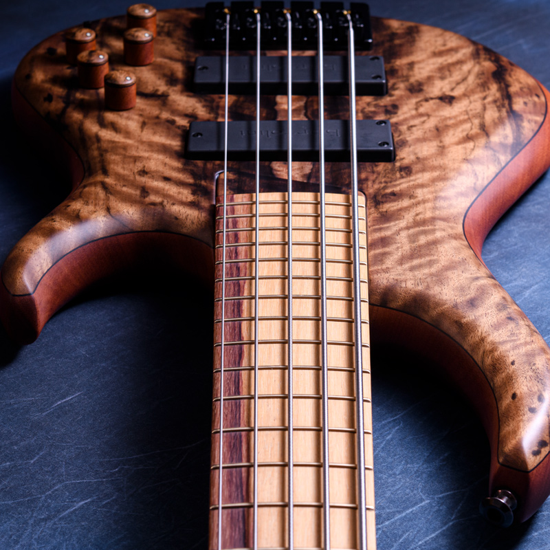MTD 535-24 Macassar Ebony Top, Maple & Purpleheart Neck, Rose of the Mountain Fingerboard