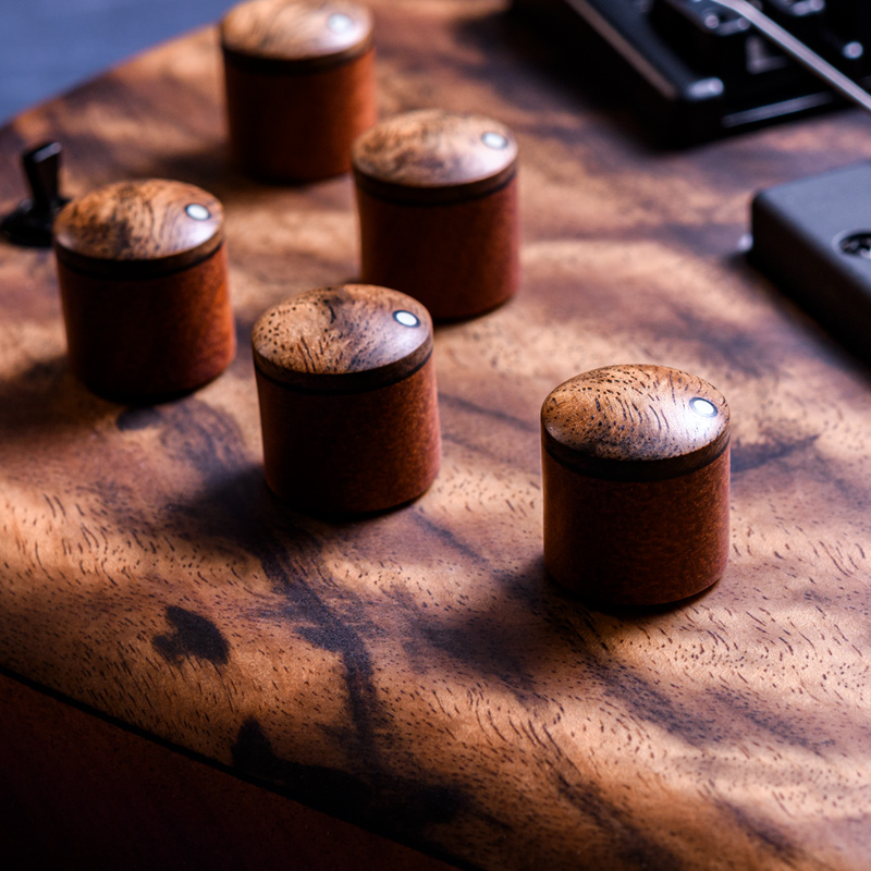 MTD 535-24 Macassar Ebony Top, Maple & Purpleheart Neck, Rose of the Mountain Fingerboard