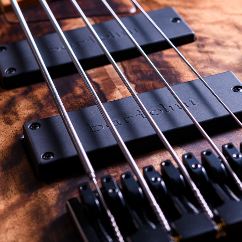 MTD 535-24 Macassar Ebony Top, Maple & Purpleheart Neck, Rose of the Mountain Fingerboard