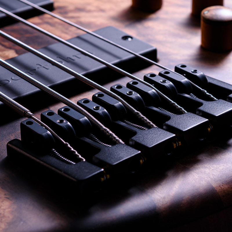 MTD 535-24 Macassar Ebony Top, Maple & Purpleheart Neck, Rose of the Mountain Fingerboard